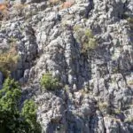 découvrez notre sélection d'annuelles grimpantes idéales pour embellir vos murs, clôtures et pergolas. profitez de couleurs vives et d'une croissance rapide pour un jardin éclatant tout l'été !