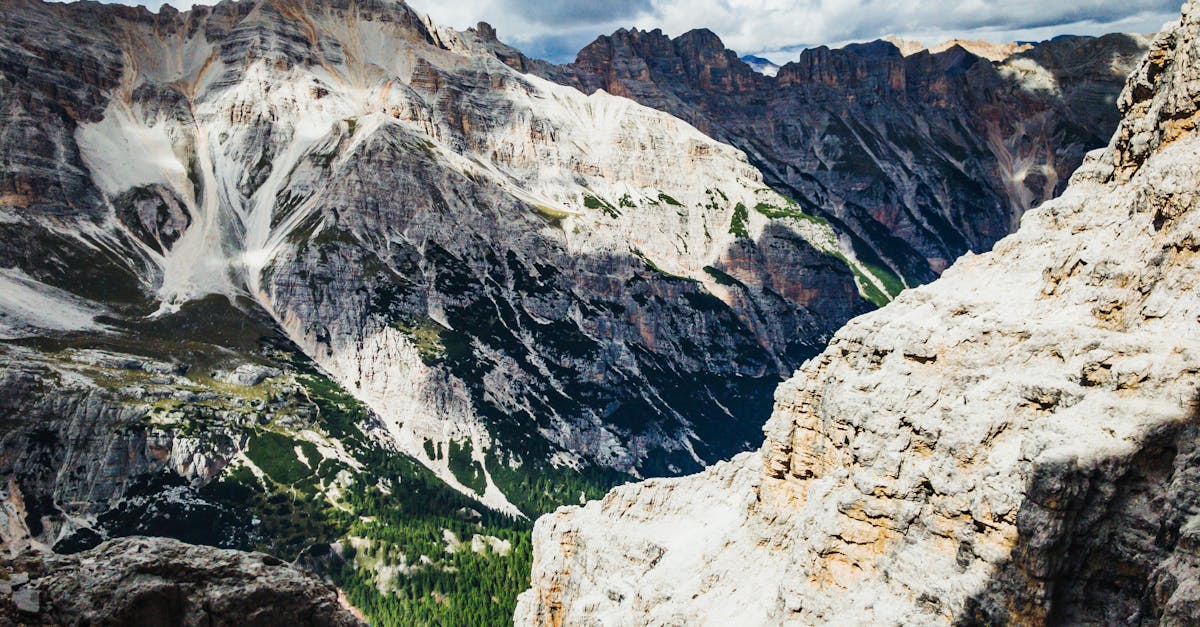 découvrez comment tailler les rosiers grimpants efficacement pour favoriser leur floraison, leur santé et obtenir un jardin éclatant de roses tout au long de la saison.