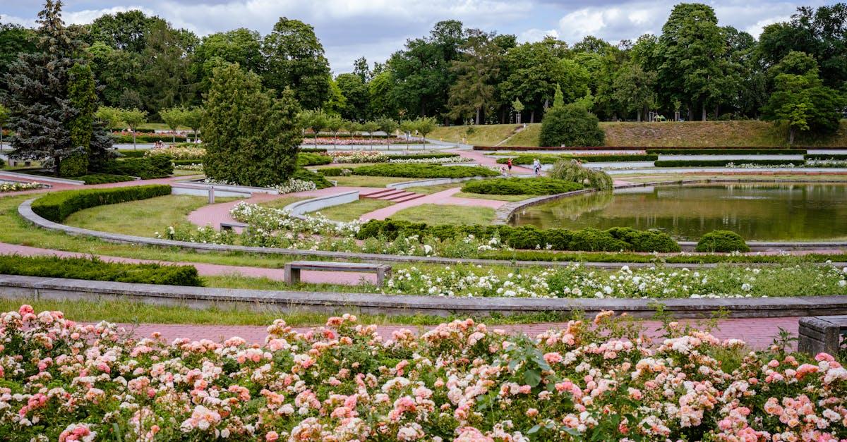 découvrez comment tailler efficacement un rosier grimpant pour favoriser sa floraison et sa croissance. suivez nos conseils pratiques pour une taille réussie au bon moment !