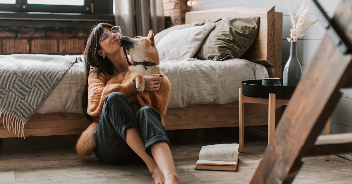 découvrez les principes de l'association de cultures (companion planting) pour optimiser la croissance de vos plantes, éloigner les nuisibles naturellement et améliorer la santé de votre potager.