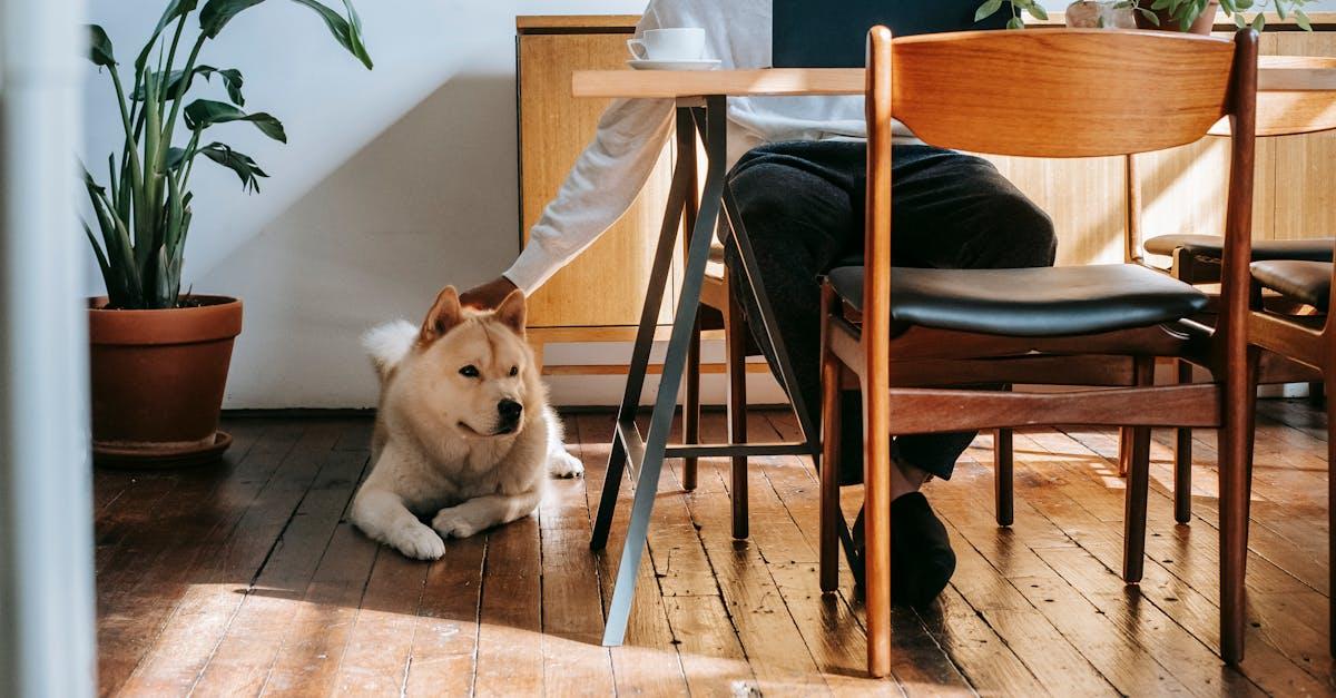 découvrez le compagnonnage végétal : une méthode naturelle qui consiste à associer différentes plantes au jardin pour stimuler leur croissance, repousser les nuisibles et favoriser la biodiversité.