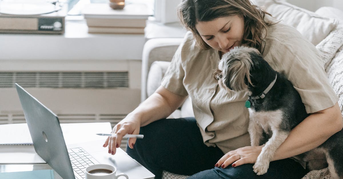 découvrez le compagnonnage végétal : une méthode naturelle de jardinage qui optimise la croissance des plantes, améliore la santé du potager et repousse les nuisibles grâce à l'association judicieuse des cultures.