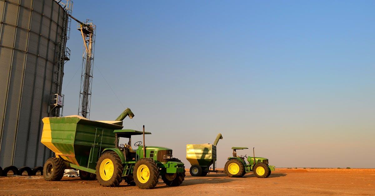découvrez les meilleures pratiques, astuces et conseils pour la cultivation de vos plantes, légumes ou fleurs. boostez votre jardin avec des techniques efficaces et adaptées à tous les niveaux.