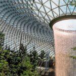 découvrez une sélection exclusive de plantes exotiques pour sublimer votre intérieur ou votre jardin. conseils d’entretien, idées déco et fiches pratiques pour chaque plante rare et originale.