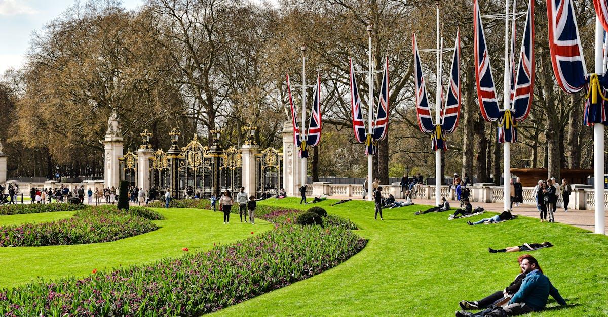 découvrez tout ce qu'il faut savoir sur les flowerbeds : conseils de création, idées d’aménagement, plantes adaptées et astuces pour sublimer votre jardin avec des massifs floraux colorés.