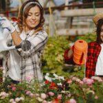 Créer de magnifiques massifs floraux devant chez soi découvrez comment aménager et entretenir vos massifs de fleurs pour un jardin coloré et harmonieux toute l'année. conseils et idées pour créer de superbes flowerbeds adaptés à votre espace extérieur.