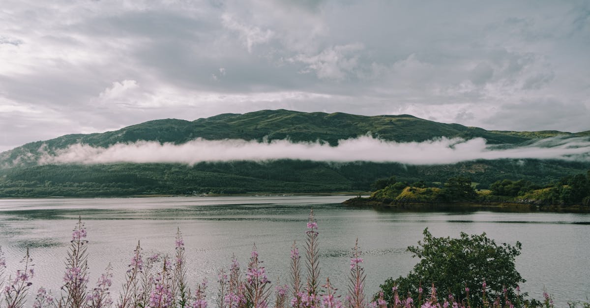 découvrez comment aménager une magnifique pente fleurie pour sublimer votre jardin. conseils, idées de fleurs et astuces pour une floraison colorée et durable sur talus ou coteau.