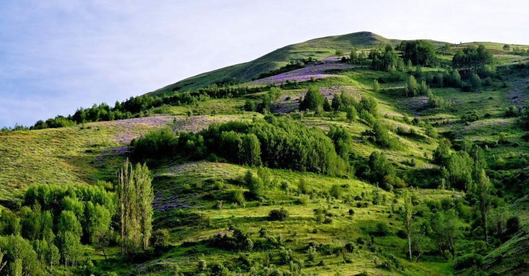 découvrez comment aménager une flowering slope, une pente fleurie, pour embellir votre jardin avec des plantes colorées, peu d'entretien et bénéfiques pour la biodiversité.