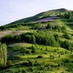 Créer un talus fleuri en exploitant les pentes découvrez comment aménager une flowering slope, une pente fleurie, pour embellir votre jardin avec des plantes colorées, peu d'entretien et bénéfiques pour la biodiversité.