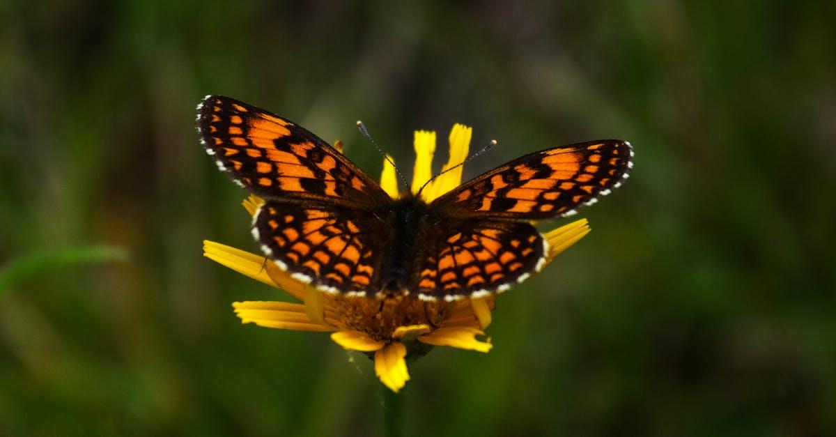 découvrez comment transformer votre jardin en un espace extérieur convivial et harmonieux grâce à des idées d’aménagement et des conseils de professionnels. inspirations, astuces et étapes clés pour réussir votre garden transformation !