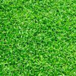 découvrez 12 jardins emblématiques à explorer en grande-bretagne découvrez des idées, conseils et inspirations pour créer, entretenir et sublimer votre jardin, quel que soit votre espace extérieur. toutes les tendances jardinage sur gardens.