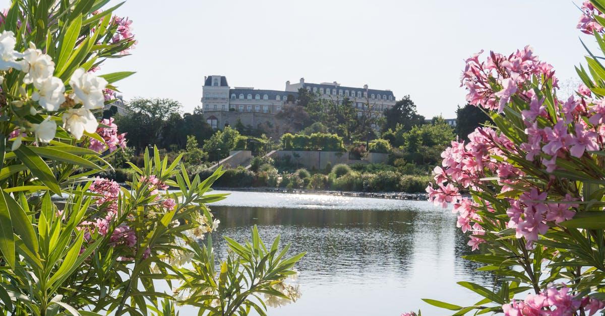 découvrez des astuces et inspirations pour aménager et entretenir votre jardin. conseils pratiques, idées de paysage et sélection de plantes pour créer un espace extérieur harmonieux.