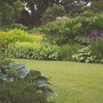 découvrez des conseils, idées et inspirations pour aménager et entretenir votre jardin. que vous soyez passionné de plantes, de décoration extérieure ou novice en jardinage, trouvez des astuces pour créer un espace vert harmonieux et florissant.