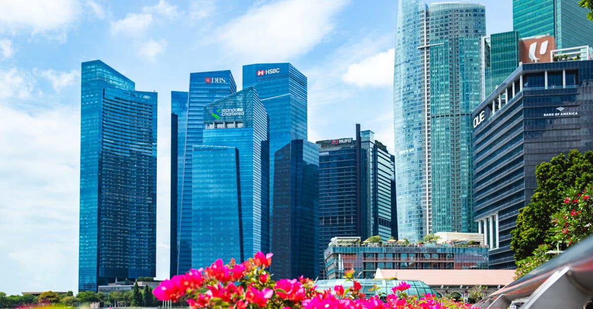 découvrez tout sur les jardins : conseils d'aménagement, idées de décoration, entretien des plantes et astuces pour transformer votre espace extérieur en un véritable havre de paix.