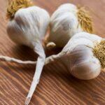 Cultiver de l'ail en harmonie avec les phases de la Lune découvrez tous les bienfaits de l'ail : ses vertus santé, ses utilisations culinaires et ses astuces de conservation pour profiter pleinement de ce condiment naturel incontournable.