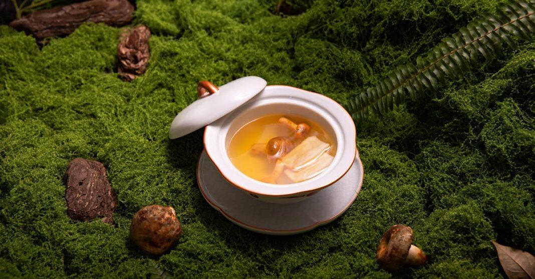 découvrez les bienfaits du ginseng, une plante aux multiples vertus. améliorez votre énergie, votre concentration et votre bien-être grâce à ses propriétés naturelles reconnues en médecine traditionnelle.