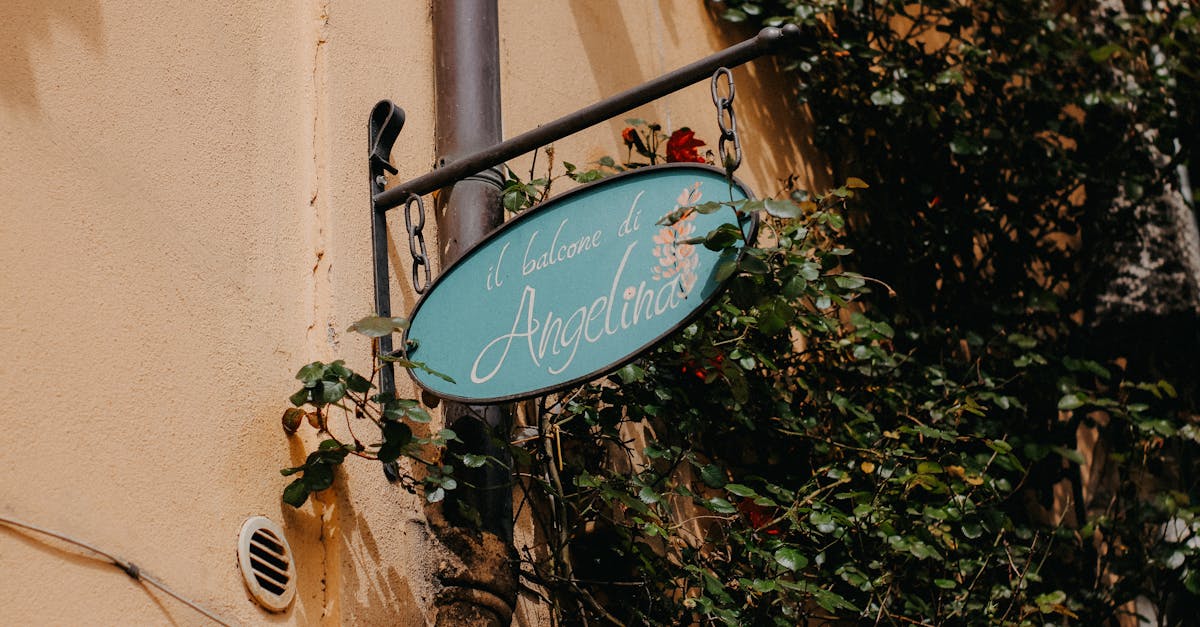 découvrez les règles essentielles pour aménager un jardin à l’italienne : organisation symétrique, utilisation des haies, jeux d’eau et sculptures. inspirez-vous des jardins italiens pour créer un espace élégant et harmonieux.