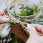 Kokedama : 10 astuces incontournables à connaître ! découvrez l'art floral japonais du kokedama : apprenez à réaliser ces superbes sphères de mousse végétale pour sublimer votre intérieur avec originalité et élégance.