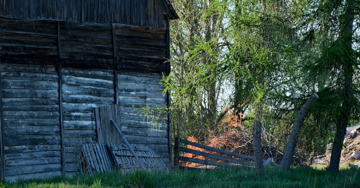 découvrez comment identifier, prévenir et traiter les maladies du gazon pour garder votre pelouse verdoyante et en bonne santé toute l'année.