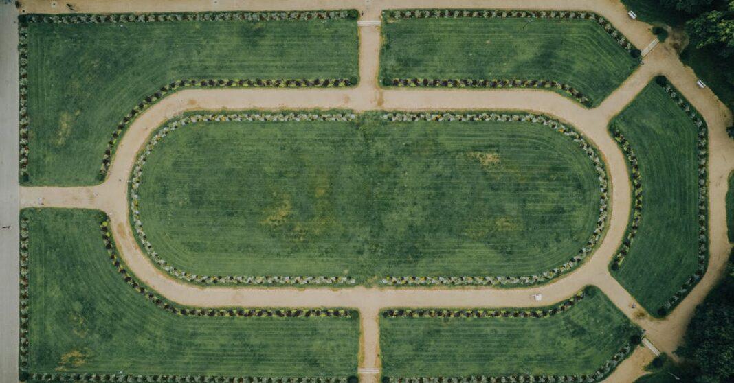 découvrez les principales maladies du gazon, leurs causes, symptômes et conseils pratiques pour protéger et entretenir efficacement votre pelouse toute l'année.