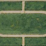 Comment traiter efficacement la maladie du gazon ? découvrez les principales maladies du gazon, leurs causes, symptômes et conseils pratiques pour protéger et entretenir efficacement votre pelouse toute l'année.