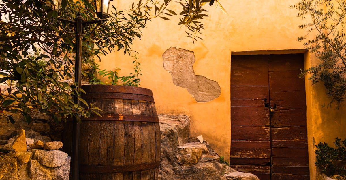 découvrez le jardinage lunaire : exploitez les cycles de la lune pour optimiser la croissance de vos plantes, améliorer vos récoltes et favoriser un potager plus sain et naturel. conseils, astuces et calendrier lunaire pour jardiner avec la lune.