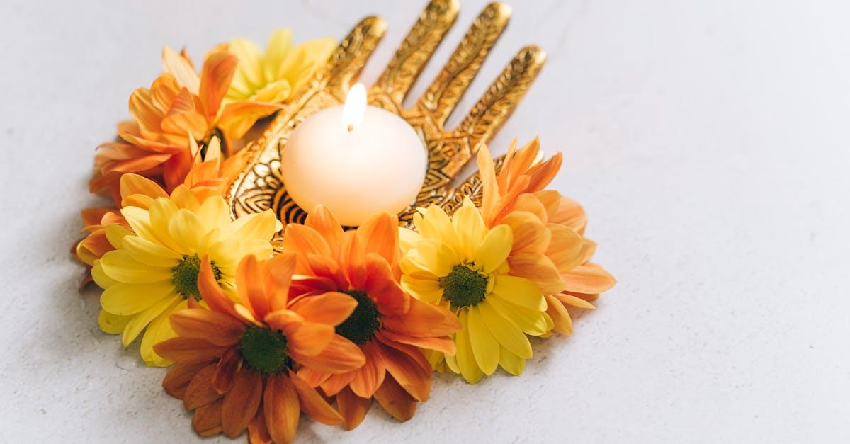 découvrez tout sur les œillets d'inde (marigolds) : conseils de plantation, entretien, bienfaits au jardin et astuces pour profiter de leurs couleurs éclatantes tout l'été.