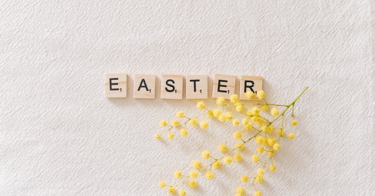 découvrez tout sur le mimosa : une plante aux fleurs jaunes éclatantes, symbole de douceur et de soleil, idéale pour illuminer jardins et intérieurs. conseils d'entretien, variétés et floraison.