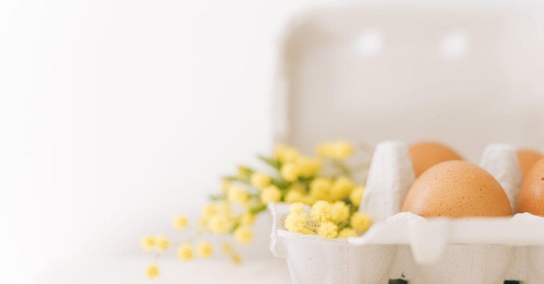 découvrez le mimosa : une plante élégante aux fleurs jaunes parfumées, symbole du printemps et de la douceur. conseils d’entretien, plantation et astuces pour profiter pleinement de cette plante lumineuse dans votre jardin ou votre intérieur.