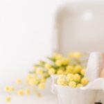 découvrez le mimosa : une plante élégante aux fleurs jaunes parfumées, symbole du printemps et de la douceur. conseils d’entretien, plantation et astuces pour profiter pleinement de cette plante lumineuse dans votre jardin ou votre intérieur.