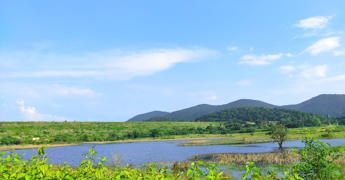 découvrez le mini-pond, une solution facile et esthétique pour créer un petit bassin d'eau dans votre jardin ou sur votre balcon. idéal pour apporter une touche de nature et de détente à votre espace extérieur.