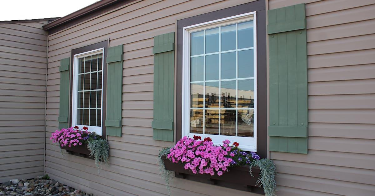 découvrez tout sur les pétunias : conseils de plantation, entretien, arrosage et variétés pour un jardin coloré et fleuri tout l'été.