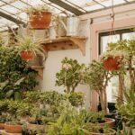 découvrez 10 jardinières innovantes de plantes fleuries pour égayer votre été découvrez notre sélection de planters élégants et pratiques pour sublimer vos plantes d'intérieur et d'extérieur. trouvez le style parfait pour chaque espace !