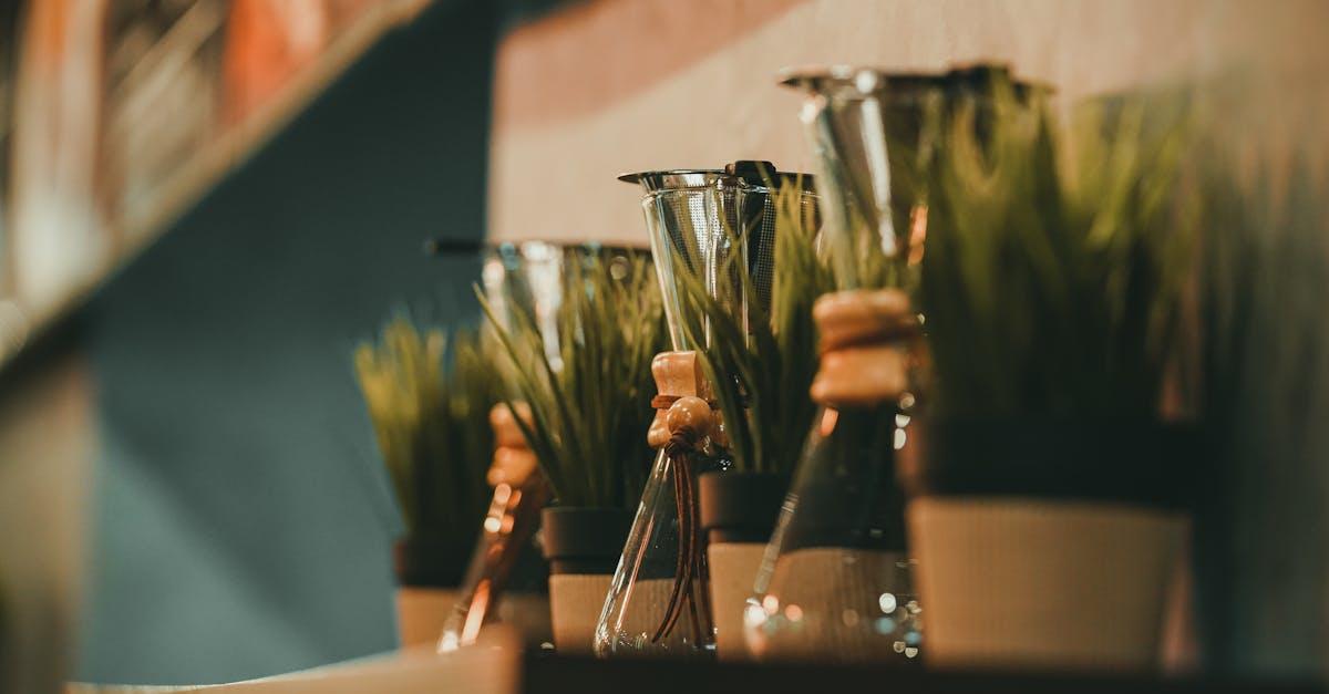 découvrez notre sélection de cache-pots et jardinières design pour sublimer vos plantes d'intérieur et d'extérieur. trouvez le planter idéal pour chaque espace et donnez vie à votre décoration végétale.