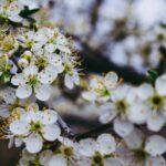 découvrez plum, la solution innovante pour gérer vos finances simplement. automatisez votre épargne, suivez vos dépenses et prenez le contrôle de votre budget en toute sécurité.