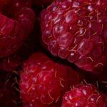 L'art de tailler les framboisiers selon les phases de la Lune découvrez comment tailler les framboisiers efficacement pour stimuler leur croissance et augmenter votre récolte. conseils pratiques et astuces pour réussir la taille de vos framboisiers.