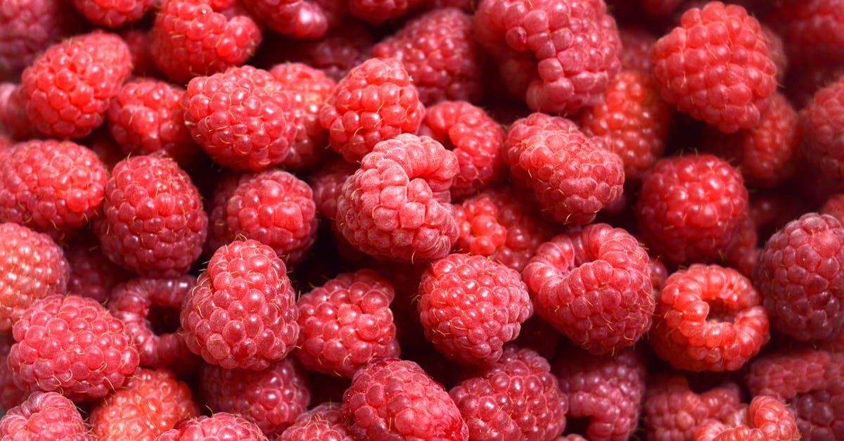 découvrez comment tailler les framboisiers efficacement pour favoriser leur croissance, augmenter la récolte et maintenir des plantes en bonne santé. guide pratique pour la taille des framboisiers étape par étape.