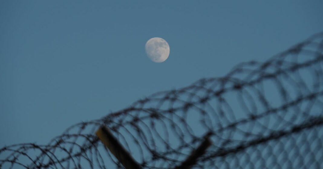 découvrez comment une barrière à rhizomes protège efficacement votre jardin contre l’invasion des racines, en offrant une solution durable et écologique pour maîtriser la croissance des plantes envahissantes comme le bambou.