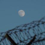 installer une barrière anti-rhizome en 6 étapes simples découvrez comment une barrière à rhizomes protège efficacement votre jardin contre l’invasion des racines, en offrant une solution durable et écologique pour maîtriser la croissance des plantes envahissantes comme le bambou.