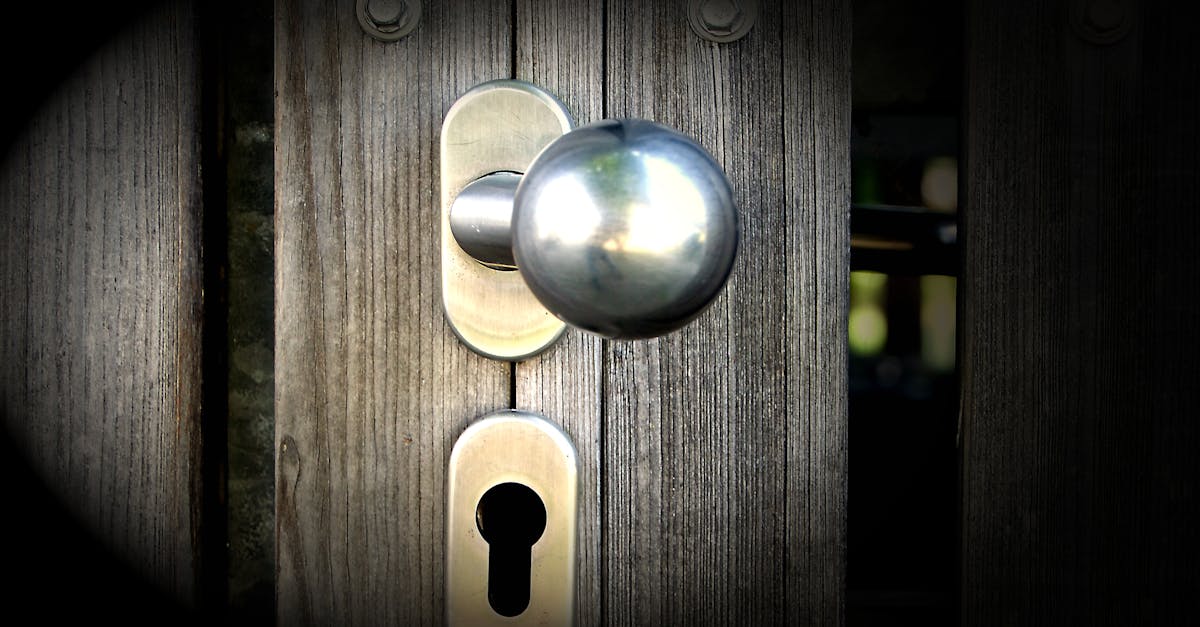 découvrez tout ce qu'il faut savoir sur les rhizome barriers : leur utilité, comment elles protègent votre jardin contre la propagation des racines invasives, et les conseils pour bien les installer.