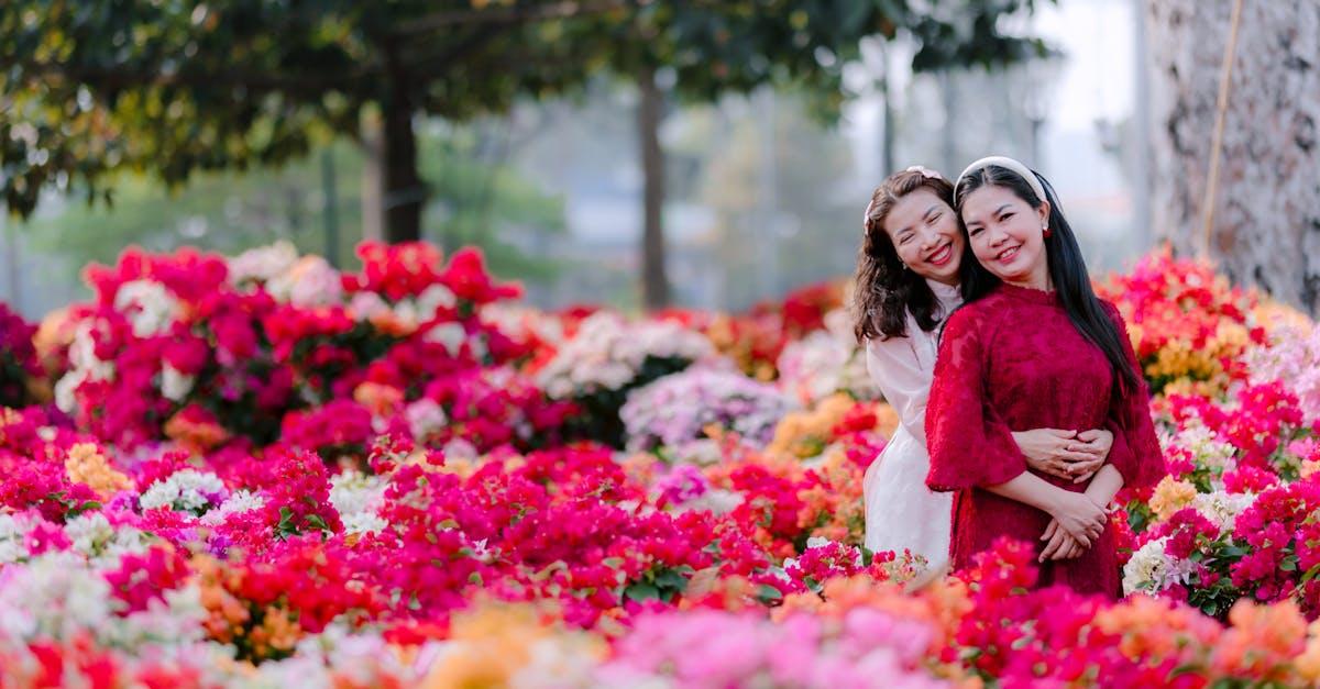 découvrez comment créer un jardin romantique, avec des idées d’aménagement, des fleurs parfumées, des éclairages doux et des coins intimes pour profiter de moments à deux en plein air.