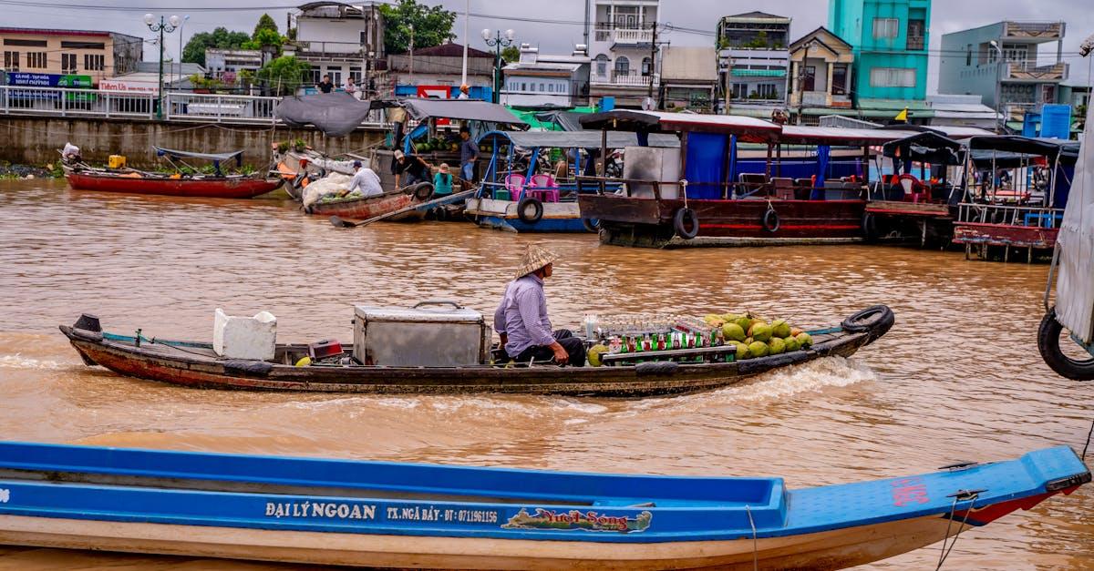 découvrez le saintpaulia, aussi appelé violette africaine : conseils d’entretien, arrosage, exposition et astuces pour une floraison abondante en intérieur.