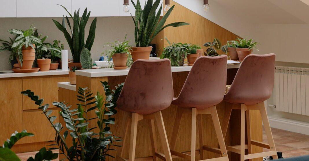découvrez tout ce qu'il faut savoir sur la sansevieria : conseils d'entretien, bienfaits pour la maison, astuces pour la culture et idées déco avec cette plante robuste et facile d'entretien.