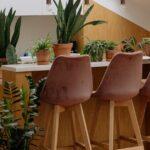 découvrez tout ce qu'il faut savoir sur la sansevieria : conseils d'entretien, bienfaits pour la maison, astuces pour la culture et idées déco avec cette plante robuste et facile d'entretien.