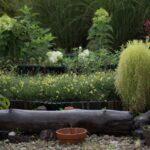 découvrez tout sur les shrubs, ces boissons artisanalement acidulées à base de fruits, de vinaigre et de sucre. idéal pour des cocktails originaux ou des boissons rafraîchissantes sans alcool. recettes, astuces et idées pour réussir vos propres shrubs maison !