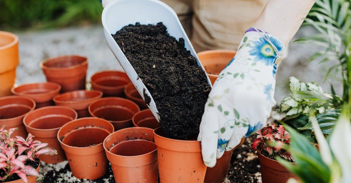 découvrez les meilleures techniques de préparation du sol pour améliorer la santé de vos cultures et maximiser vos récoltes. conseils pratiques pour tous les jardiniers et agriculteurs.