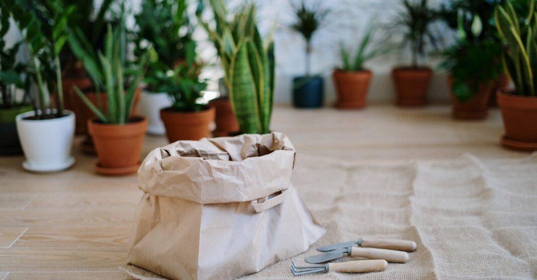 découvrez les meilleures techniques de préparation du sol pour favoriser la croissance de vos plantes. apprenez à améliorer la fertilité, l’aération et la structure de votre terrain avant la plantation.