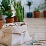 Comment préparer efficacement le sol de votre potager en quatre étapes clés découvrez les meilleures techniques de préparation du sol pour favoriser la croissance de vos plantes. apprenez à améliorer la fertilité, l’aération et la structure de votre terrain avant la plantation.