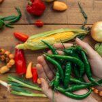 Guide pratique pour cultiver des oignons de printemps : astuces pour réussir vos oignons verts et ciboules découvrez tout sur les oignons nouveaux : conseils de culture, bienfaits nutritionnels et idées pour les utiliser dans vos recettes de cuisine.