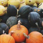 Comment synchroniser la plantation des courgettes avec les cycles lunaires découvrez le squash, un sport de raquette dynamique et intense, idéal pour améliorer votre condition physique, votre agilité et votre esprit de compétition. informations, conseils et actualités sur le squash.